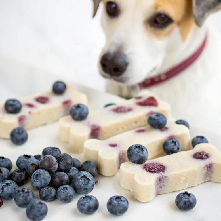 Frozen Dog Treats with Blueberries for a Fresh Taste