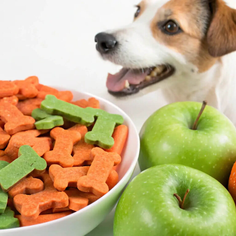 Apple Carrot Dog Treats Recipe for a Fresh Snack