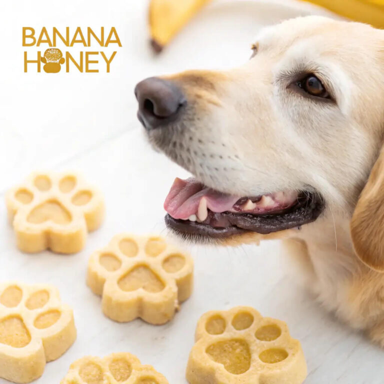 Banana Honey Dog Treats Recipe for a Natural Sweetness