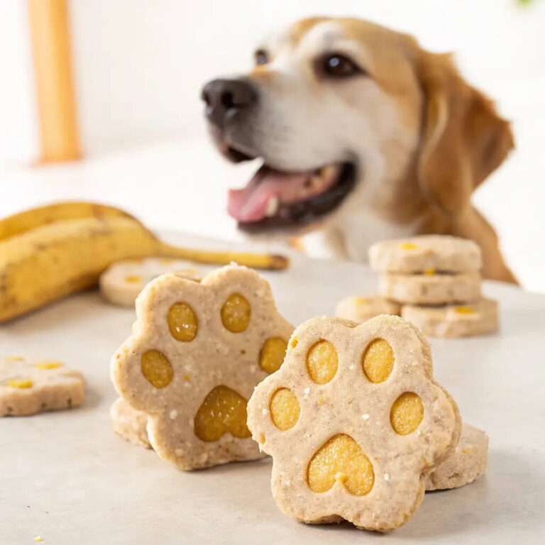 Banana Oatmeal Dog Treats That Are Simple to Make