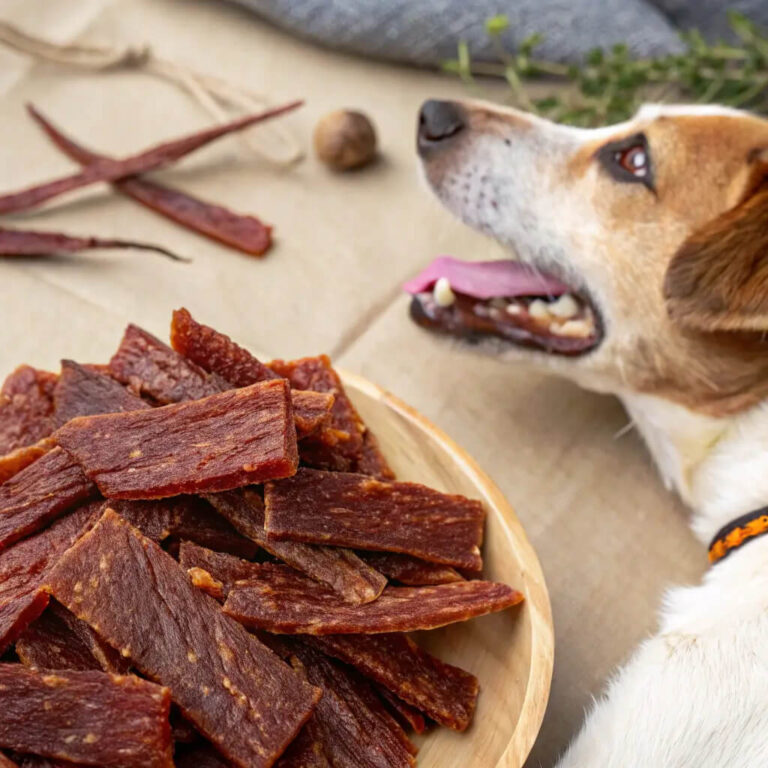 Dehydrated Chicken Jerky for Dogs Made at Home