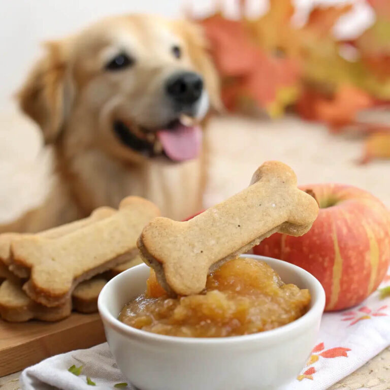 Homemade Dog Treats with Applesauce for a Sweet Treat