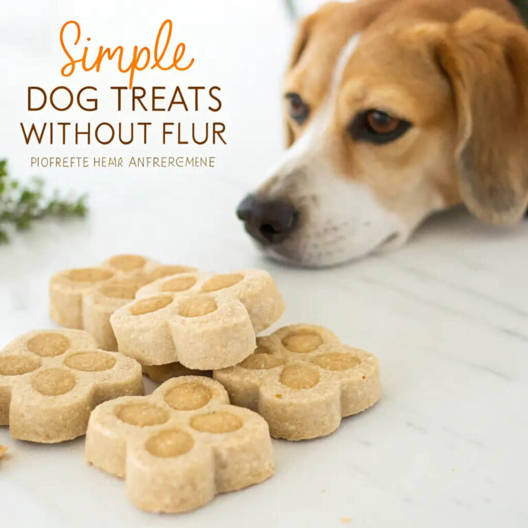 Simple Homemade Dog Treats Without Flour