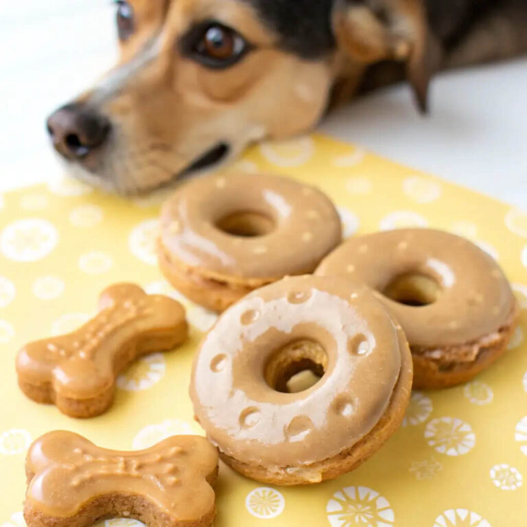 Peanut Butter Dog Donuts Recipe for a Fun Treat