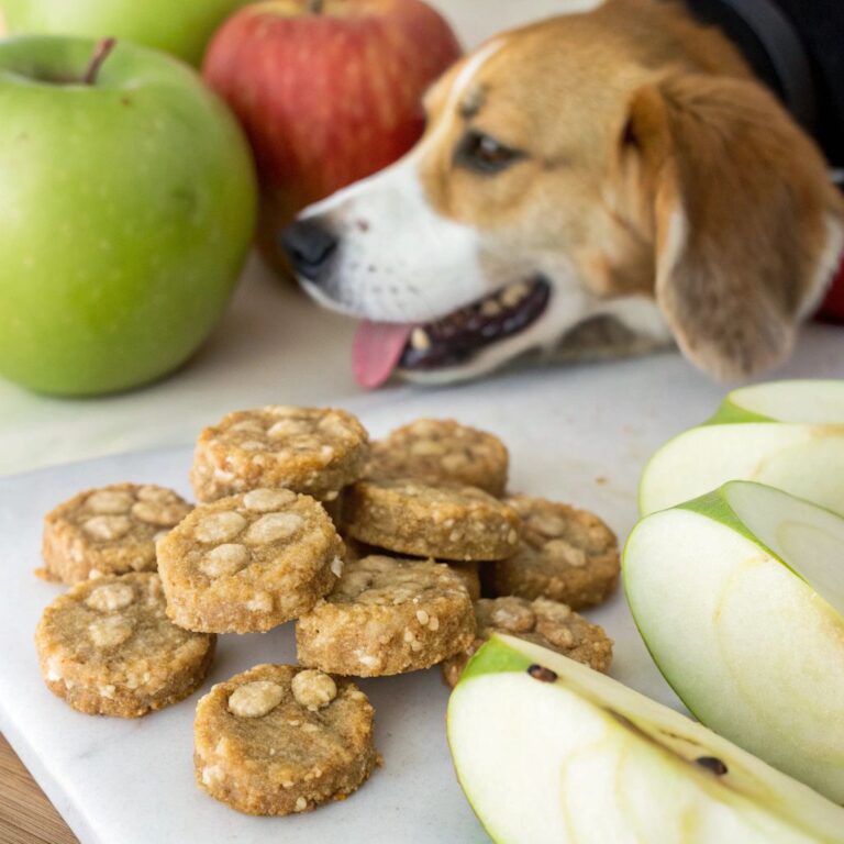 Applesauce Oat Dog Treats for a Simple Snack